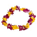 Bicolor_Single_Strung_Hawaiian ...