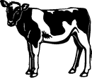 Mega Collection | Cow, Bull and Calf - Kate Bartholomew (Vector ...