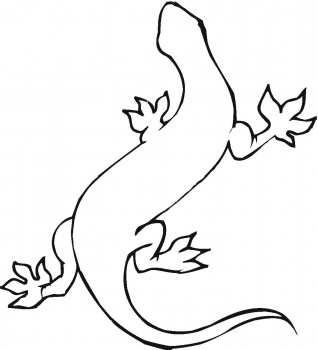 Gecko coloring page | Super Coloring