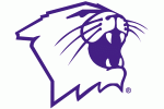 Northwestern Wildcats Logos - NCAA Division I (n-r) (NCAA n-r ...