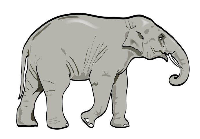 Vector Elephant - Animal - ClipArt Best - ClipArt Best