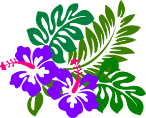 hibiscus-md.png