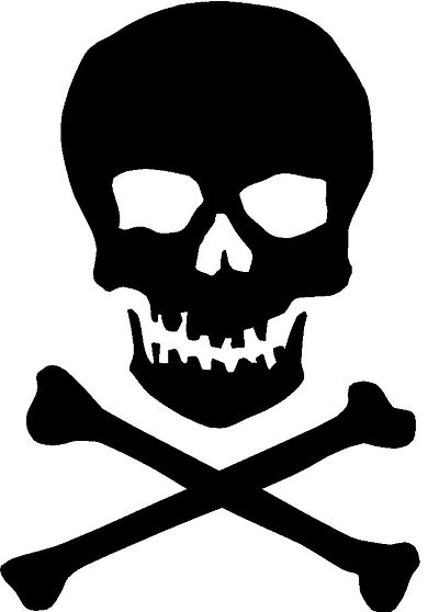 skull with crossbones image search results