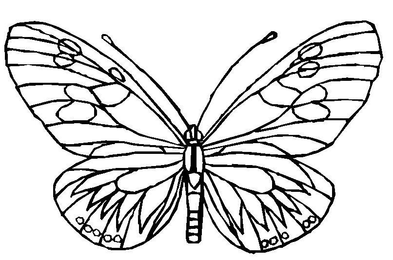 Butterfly Pages to Color | Coloring