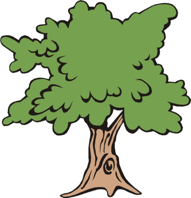 PARTS OF PLANT :: TREE :: BRANCHES :: KINDERGARTEN WORKSHEET GUIDE ...
