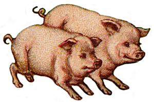 Pig Clipart