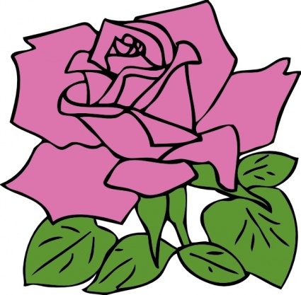 Pink Rose Vector - Download 1,000 Vectors (Page 1)