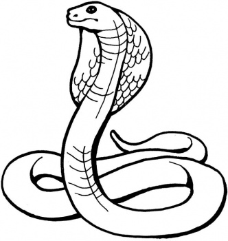 King Cobra Clip Art - ClipArt Best