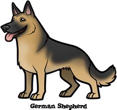 Cartoon, Lost and German shepherds