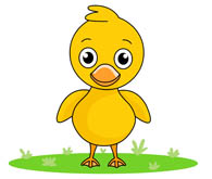 Duckling clipart free