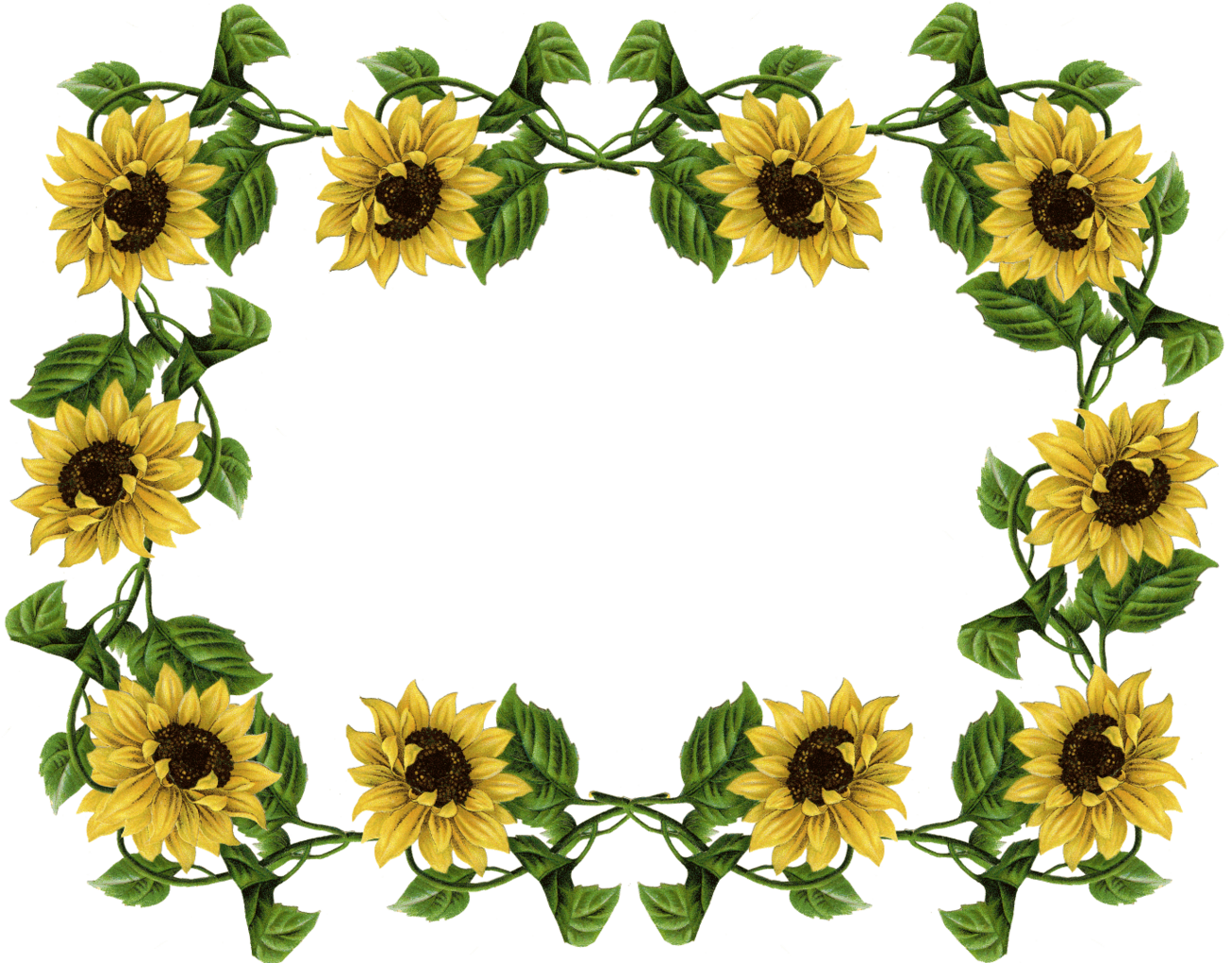 Flower Frame Border Clipart - Free to use Clip Art Resource