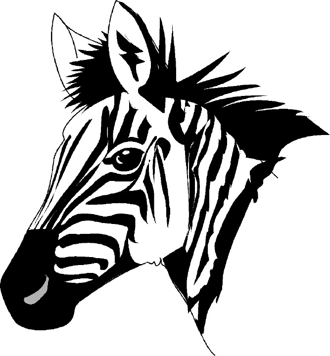 Zebra Head Clipart - Free Clipart Images