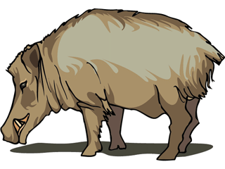 Wild boar Graphics and Animated Gifs