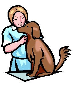 Animal Vet Clipart