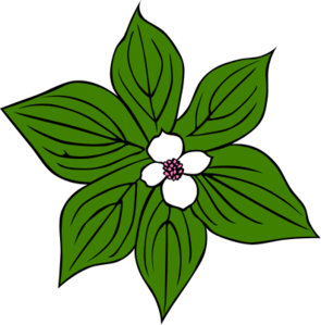 Dogwood Flower Clipart