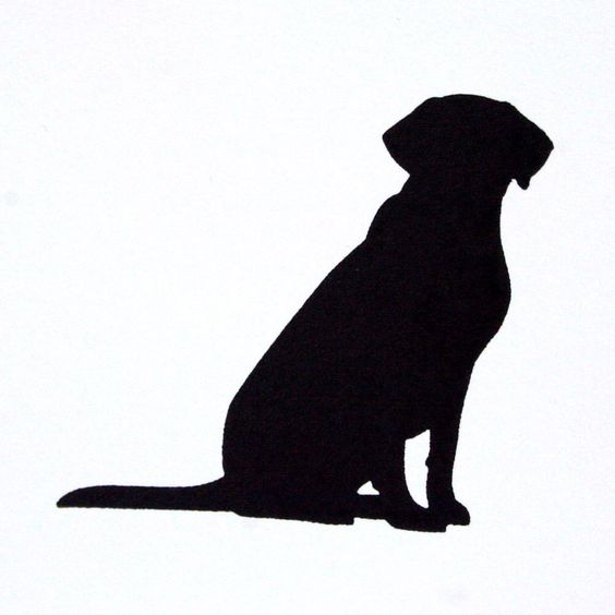 Labradors, Black labrador retriever and Dog silhouette