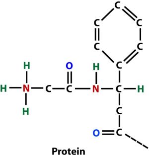 Goat Nutrition Protein - eXtension