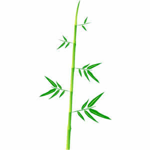 bamboo leaves - 5 Free Vectors to Download | freevectors.net