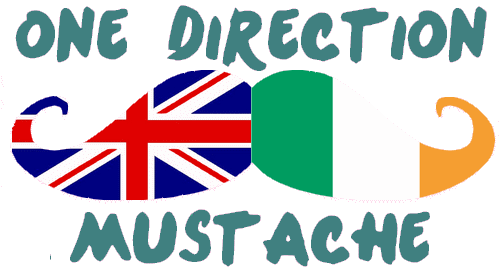 british and irish flag one direction heart