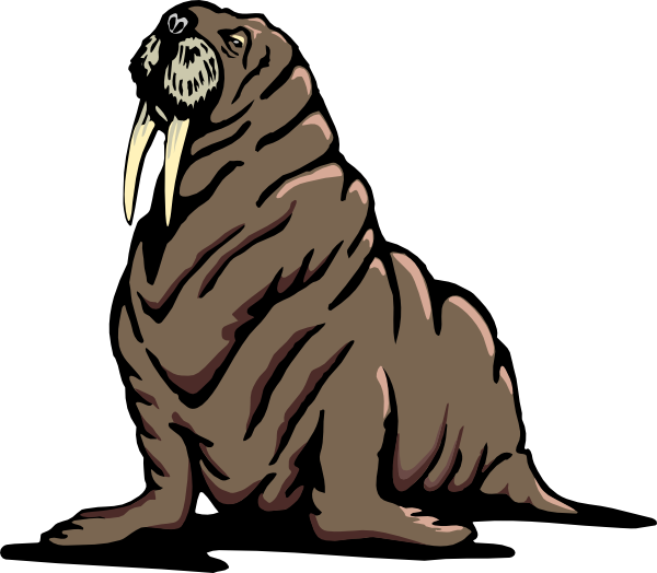 Animated walrus clipart - ClipartFox