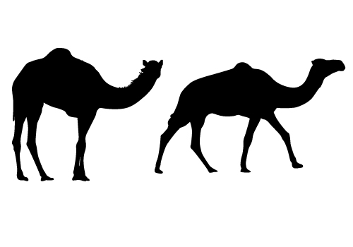 Clipart camel silhouette