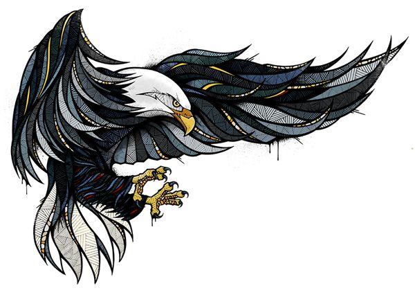 Eagle Drawing | Bird Drawings, Draw ...