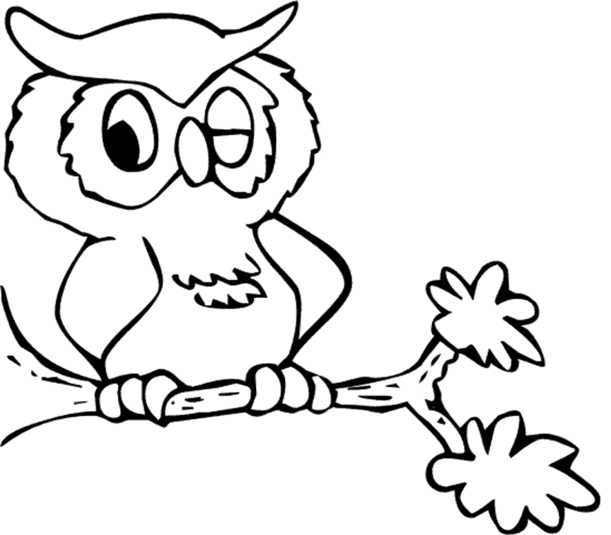 Owl To Color Clipart