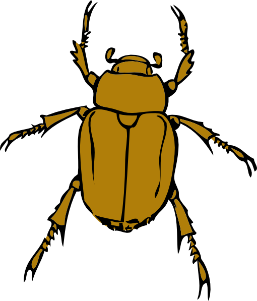 Insect 20clipart - Free Clipart Images