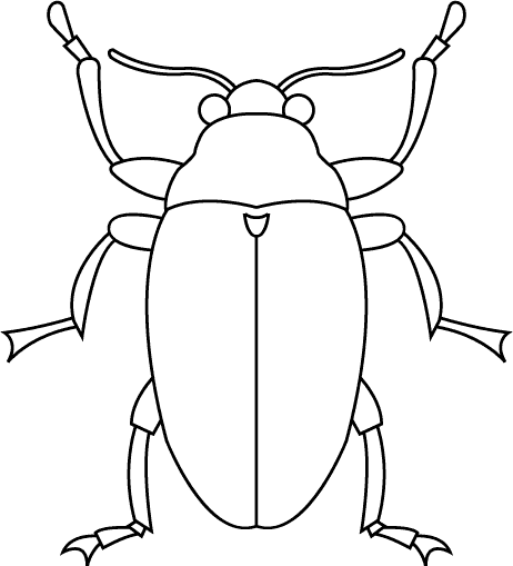 artropodos Colouring Pages