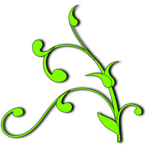 Plant Vine clip art - Polyvore