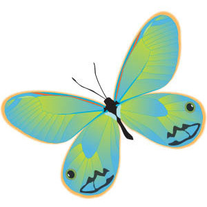 Butterflies & Dragonflies - Polyvore
