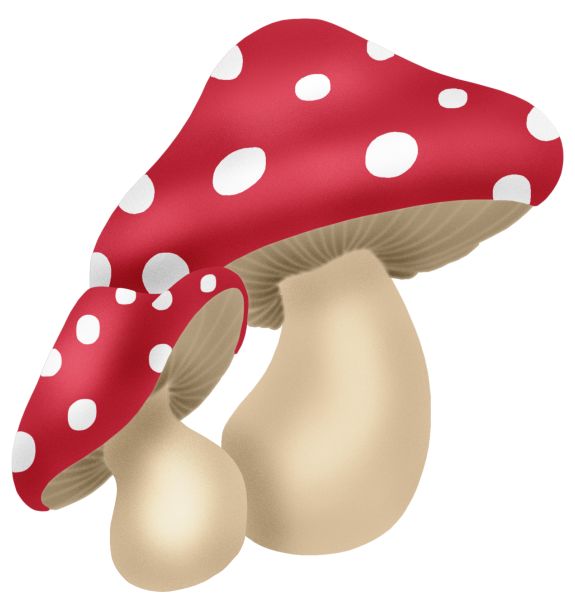 1000+ images about Toadstool | Cartoon mushroom ...