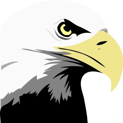 Soaring eagle clip art