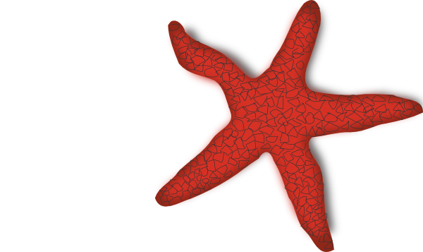 Animated starfish clipart