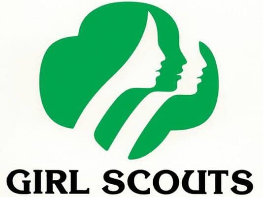 Girl Scouts are Gold, Silver Award recipients