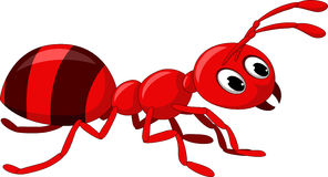 Red ant clipart