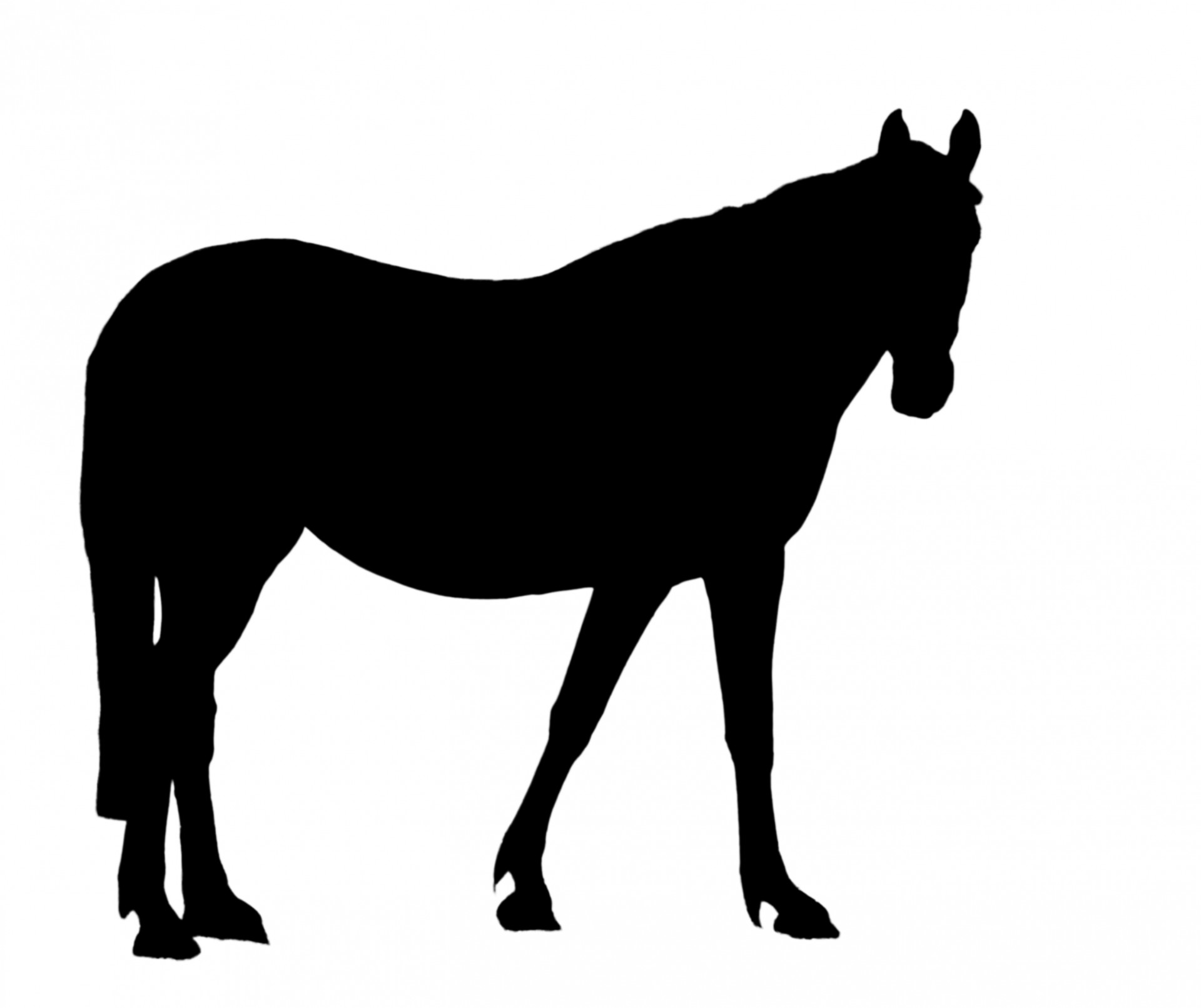 Clipart silhouette horse