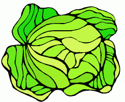 Cartoon lettuce clipart