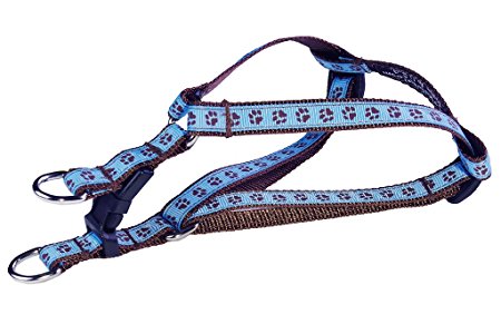 Amazon.com : Sassy Dog Wear 8-16-Inch Blue/Brown Puppy Paws Dog ...