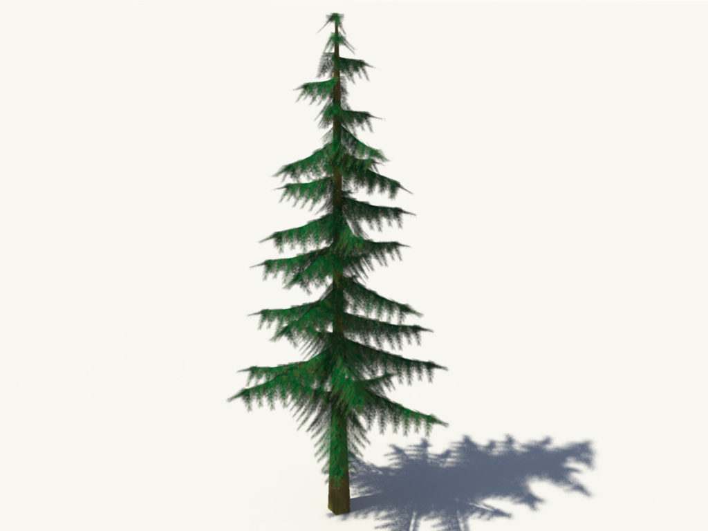 Conifer Pine Tree 3D Model - 3D Models World