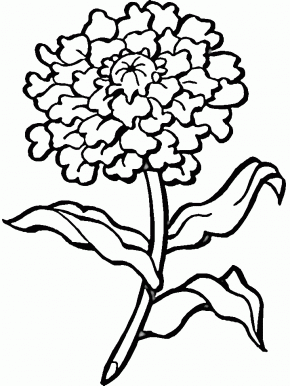 Flowers Page 2: Bluebonnet Flowers Coloring Pages, Flower5 Flowers ...