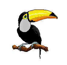 Toucan Clipart