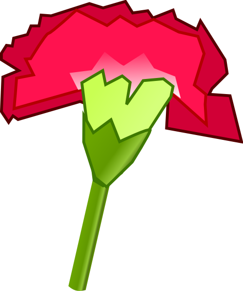 Carnation Flower clip art Free Vector
