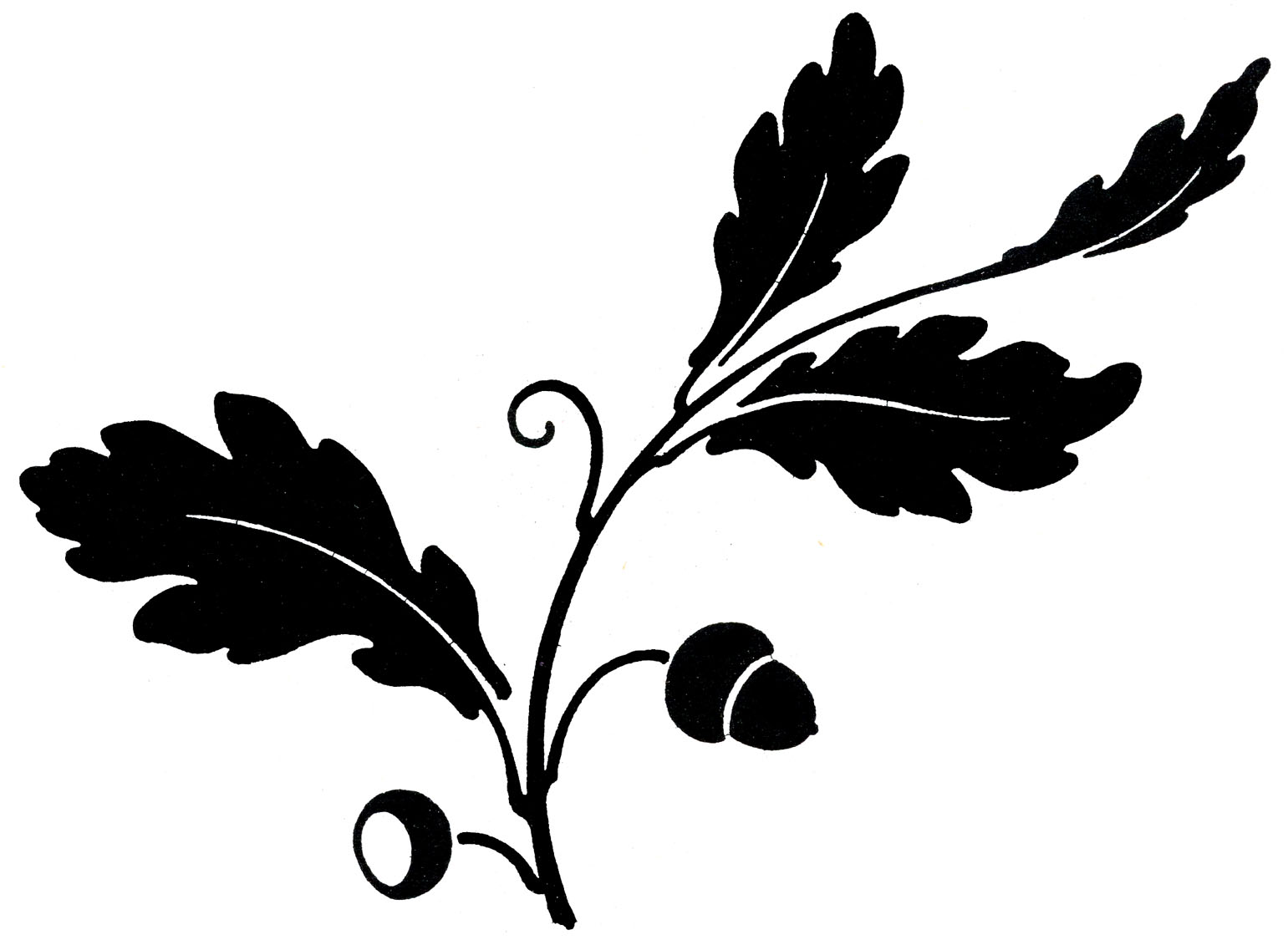 Designer Leaf Clip Art - ClipArt Best