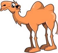 Cute clipart camel