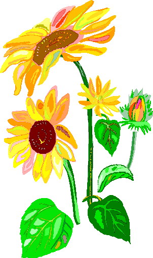 Free Sunflower Clipart | Free Download Clip Art | Free Clip Art ...