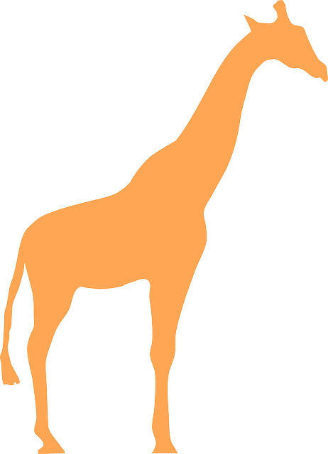 Best Giraffe Silhouette #8259 - Clipartion.com