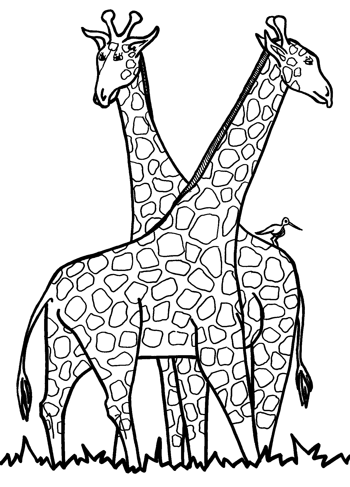 giraffe coloring pages 4 special Printable Giraffe Coloring Pages ...