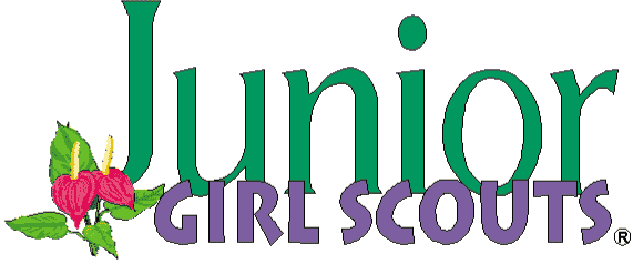 Girl scout juniors clipart