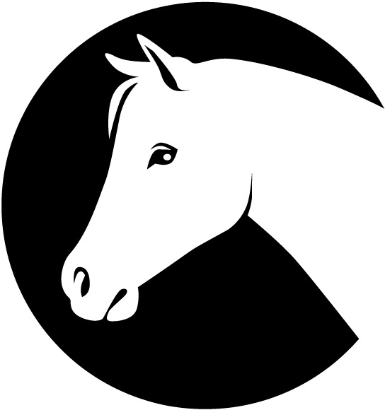 coloring-page-of-a-horse-head- ...